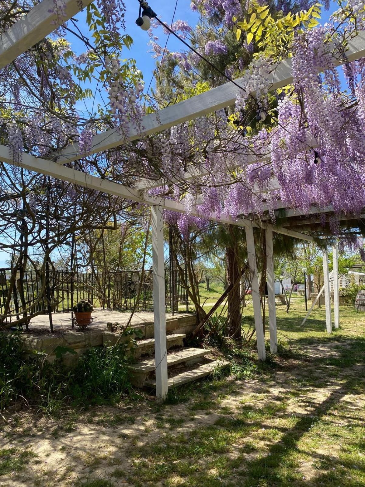 Agriturismo Tenuta La Monaca Aradeo Extérieur photo